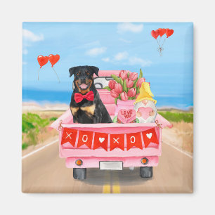 Rottweiler Dog Valentine's Day Lkw Herz Magnet