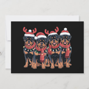 Rottweiler Dog Weihnachten Weihnachten Weihnachten