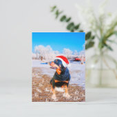 Rottweiler Dog Weihnachtsmalerei Feiertagspostkarte (Stehend Vorderseite)