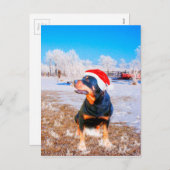Rottweiler Dog Weihnachtsmalerei Feiertagspostkarte (Vorne/Hinten)