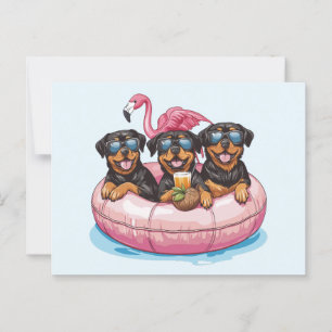 Rottweiler Dogs Flamingo Summer Pool Tube Postkarte