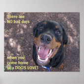 Rottweiler Dog's Liebe Poster (Vorne)