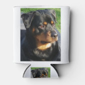 Rottweiler Dosenkühler (Vorderseite)