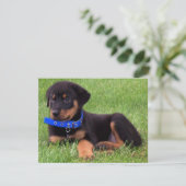 Rottweiler Einladung (Stehend Vorderseite)