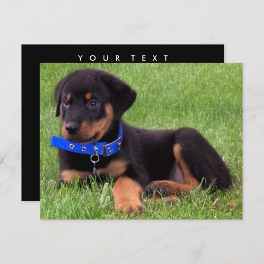 Rottweiler Einladung (Vorne/Hinten)