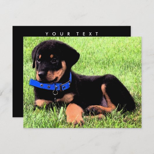 Rottweiler Einladung (Vorne/Hinten)