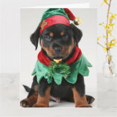 Rottweiler Elf Puppy Christmas Card Karte (Gelbe Blume)