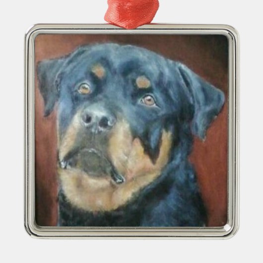 Rottweiler - erstklassige Weihnachtsverzierung Silbernes Ornament (Vorne)