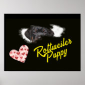 Rottweiler Eyes Solid Color Poster (Vorne)