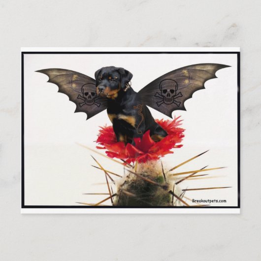 Rottweiler Fairy Dog Postcard Postkarte (Vorderseite)