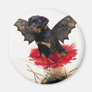 Rottweiler feenhafter Hundemagnet Magnet