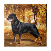 Rottweiler Fliese (Vorderseite)