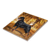 Rottweiler Fliese (Seite)
