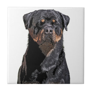 Rottweiler Fliese