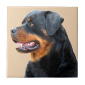 Rottweiler Fliese (Vorderseite)