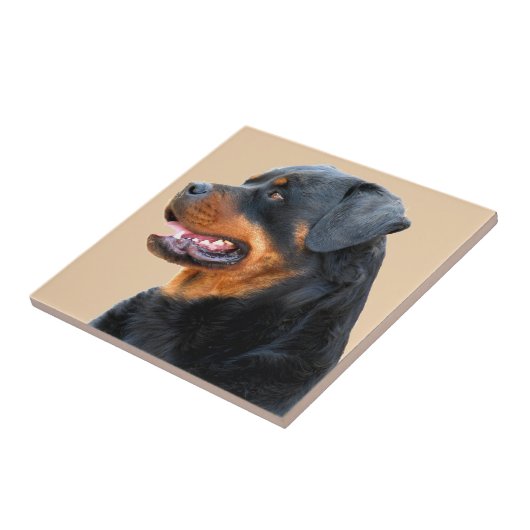 Rottweiler Fliese (Seite)