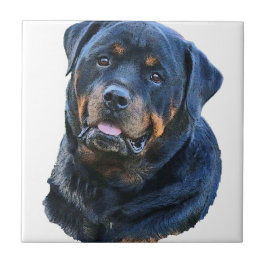 Rottweiler Fliese