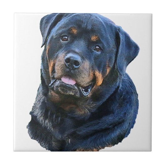 Rottweiler Fliese (Vorderseite)