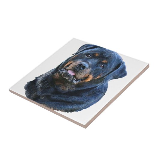 Rottweiler Fliese (Seite)
