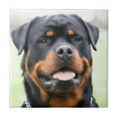 rottweiler fliese (Vorderseite)
