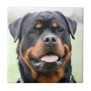 rottweiler fliese