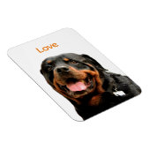 Rottweiler Foto Magnet (Rechte Seite)
