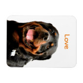 Rottweiler Foto Magnet (Horizontal)