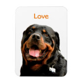 Rottweiler Foto Magnet (Vertikal)