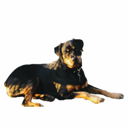 Rottweiler Foto-Skulptur-Magnet Fotoskulptur Magnet