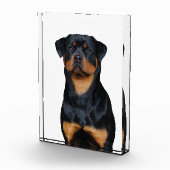 Rottweiler fotoblock (Rechts)