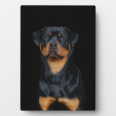 Rottweiler Fotoplatte (Vorderseite)