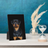 Rottweiler Fotoplatte (Seite)