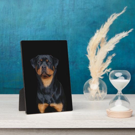 Rottweiler Fotoplatte (Seite)