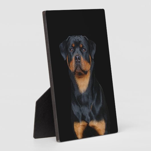 Rottweiler Fotoplatte (Seite)