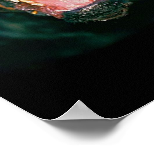 Rottweiler funny poster (Ecke)