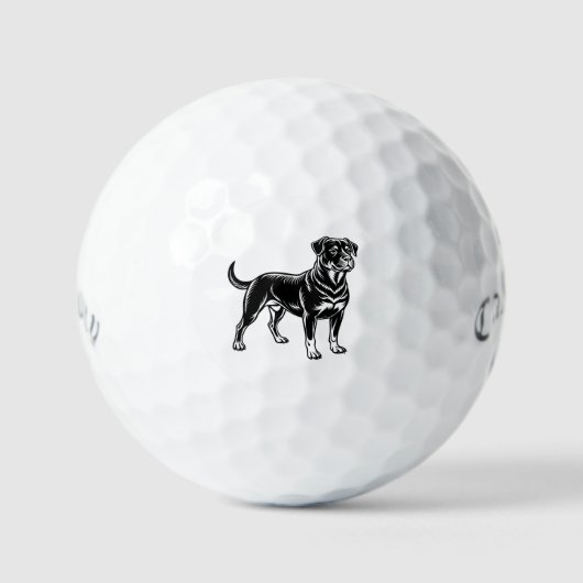 Rottweiler, Ganzkörper Golfball (Vorderseite)