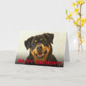 Rottweiler Geburtstagskarte Karte (Gelbe Blume)