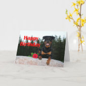 Rottweiler-glücklicher Geburtstag Karte (Gelbe Blume)
