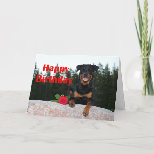 Rottweiler-glücklicher Geburtstag Karte (Vorderseite)
