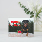 Rottweiler-glücklicher Geburtstag Postkarte (Stehend Vorderseite)