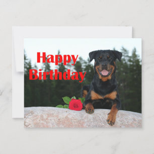 Rottweiler-glücklicher Geburtstag Postkarte