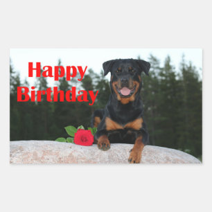 Rottweiler-glücklicher Geburtstag Rechteckiger Aufkleber