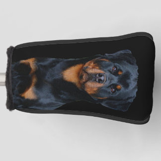 Rottweiler golf headcover