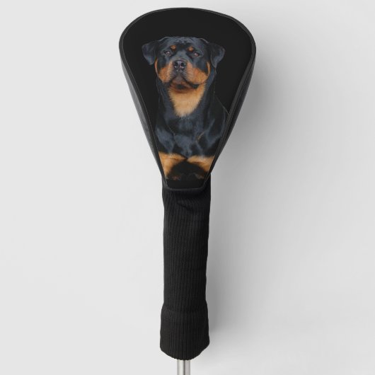 Rottweiler   golf headcover (Vorderseite)