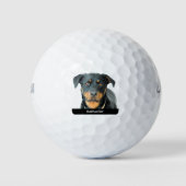 Rottweiler Golfball (Vorderseite)