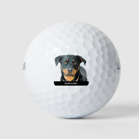 Rottweiler Golfball (Vorderseite)