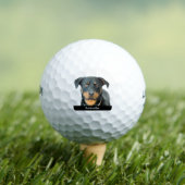Rottweiler Golfball (Insitu T-Shirt)