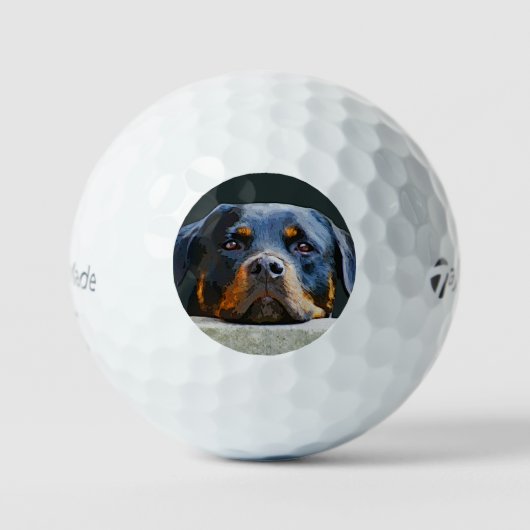 Rottweiler Golfball (Vorderseite)