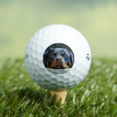 Rottweiler Golfball (Insitu T-Shirt)