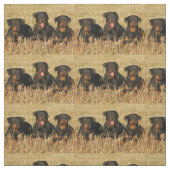 rottweiler-group.png stoff (Muster)
